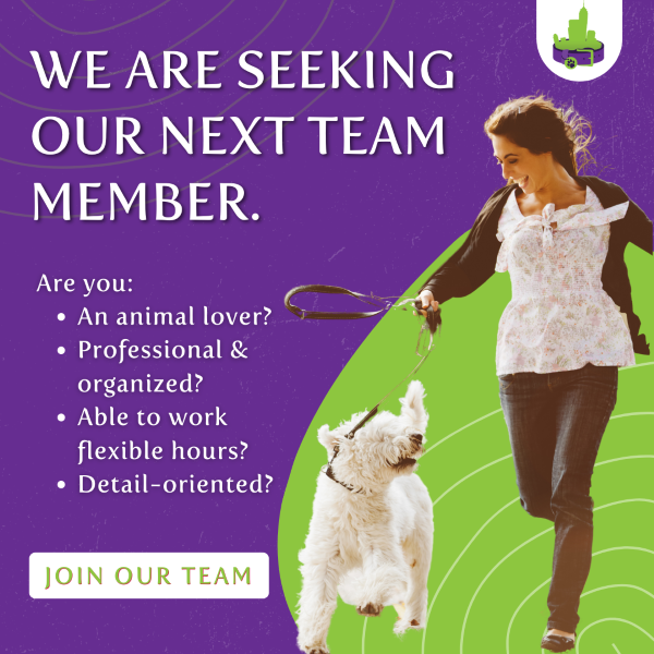 Pet Sitting Indianapolis Career Page