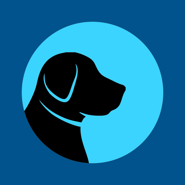 Amazon Delivery Driver Hooksett, NH NHBlacklabs Delivery Career Page